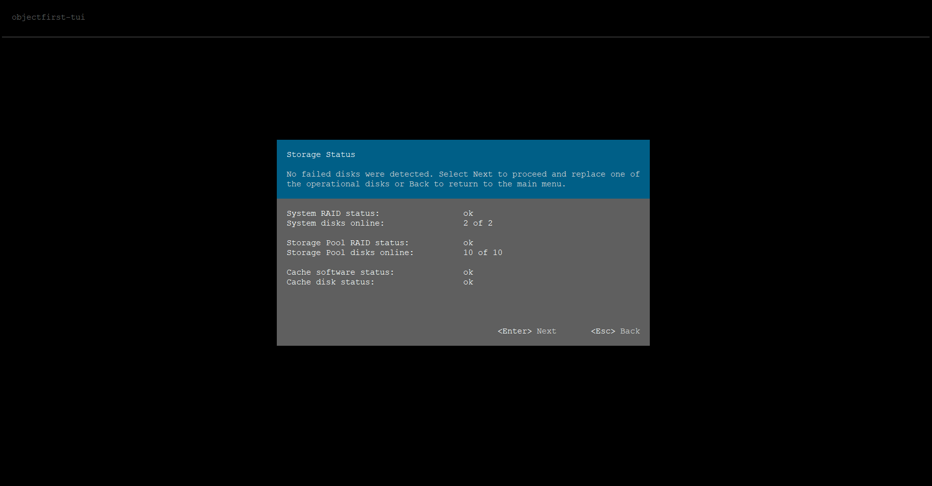 Wait for the disk information. And press Enter