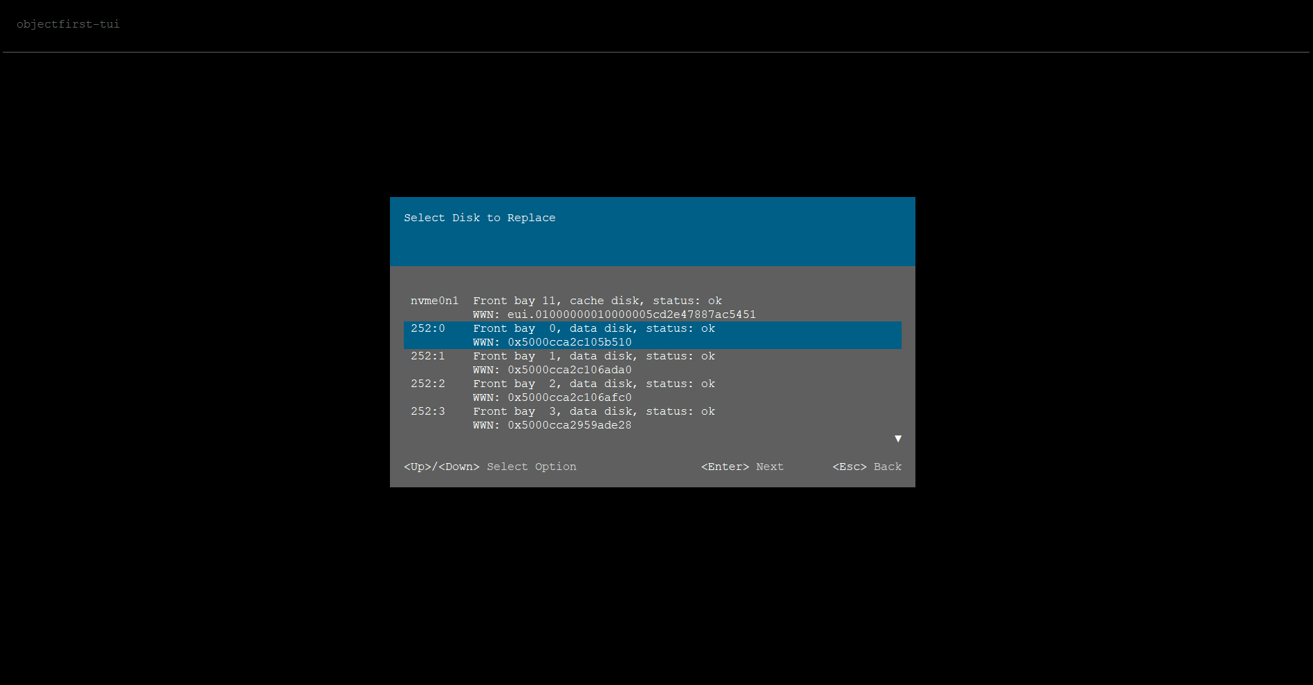 Confirm the disk. Press Enter to remove the disk from the configuration.